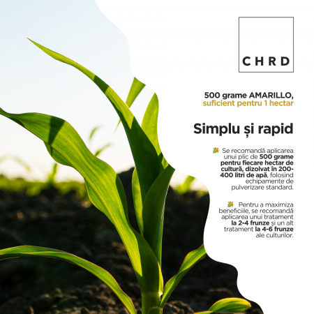 AMARILLO – FERTILIZANT EU DE TIP PFC 1, CMC 1 CF. REG. (CE) 1009/2019 Foliar pentru porumb, sorg, 500g [2]