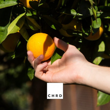 CitrusBoost Elixir, Produs natural pe baza de microorganisme si acizi humici si fulvici pentru biostimularea citricelor, 100 g [3]