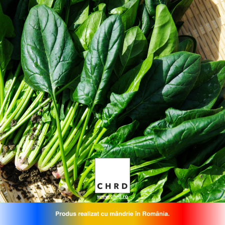 FUNGICID ECOLOGIC – gata de folosire - Formulă biologică pe bază de Trichoderma atroviride (harzianum) (≥ 1 × 10⁵ UFC / ml), 10 litri [4]