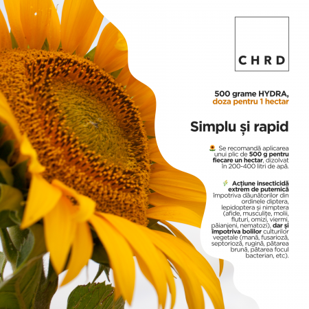 HYDRA WSP, Insectosupresor cereale și oleaginoase, doza pentru 1 hectar, 500g [2]