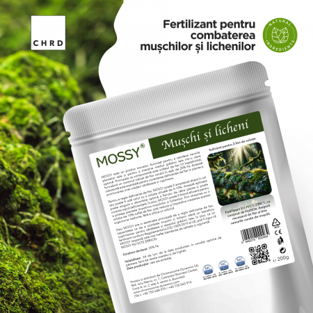 Mossy, Muschi si licheni ai pomilor, plic 200g [1]