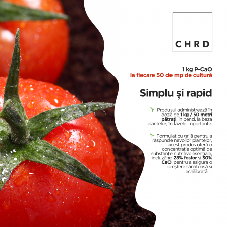 P-CaO - rădăcini puternice pentru tomate sănătoase, 500g [2]