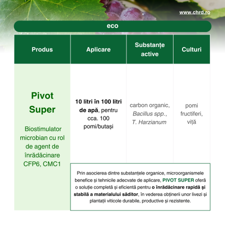 PIVOT SUPER, Agent de înrădăcinare pentru pomi, arbuști și viță de vie, IBC 1000 litri [2]