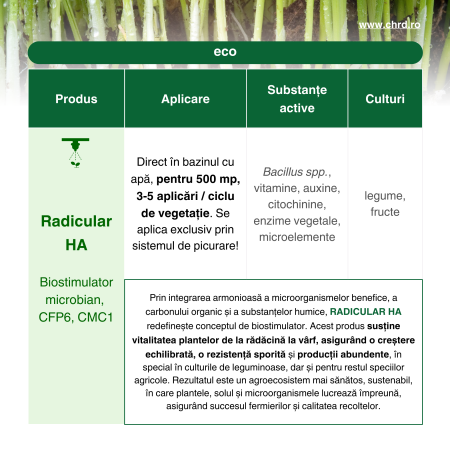 RADICULAR HA, Biostimulator microbian pentru picurare la rădăcină cu acizi humici, fulvici și carbon organic, 10 litri [2]