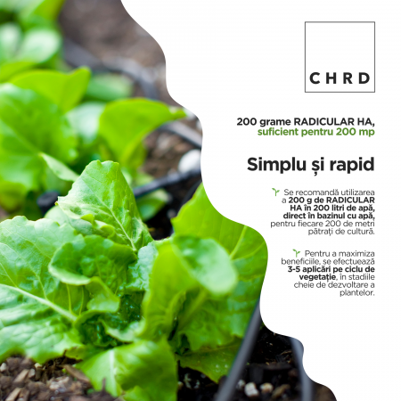 RADICULAR HA – FERTILIZANT EU DE TIP PFC 1, CMC 1 CF. REG. (CE) 1009/2019 Picurare la rădăcină, 200g [2]
