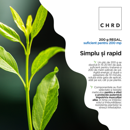 Regal, curăță solul și plantele de musculița albă (Delia radicum), EU Fertilizer PFC1, CMC1, plic 200g [2]