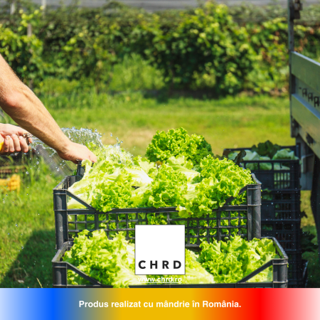 SALADDA, Biostimulator nemicrobian pentru salată, ceapă și varză, IBC 1000 litri [3]