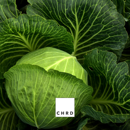SALADDA – FERTILIZANT EU DE TIP PFC 1, CMC 1 CF. REG. (CE) 1009/2019 Foliar pentru salată, ceapă, varză, 200g [3]