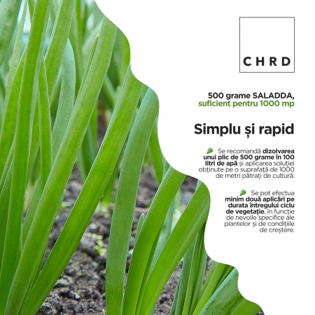SALADDA – FERTILIZANT EU DE TIP PFC 1, CMC 1 CF. REG. (CE) 1009/2019 Foliar pentru salată, ceapă, varză, 500g [2]