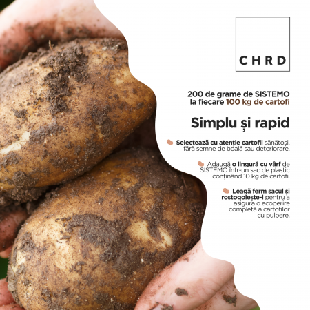 SISTEMO, Pulbere ecologică pentru stoparea încolțirii cartofilor de consum, pentru 100 kg de cartofi; 200 g [2]
