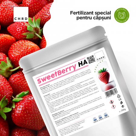 SweetBerry HA, FERTILIZANT EU DE TIP PFC 1, CMC 1 CF. REG. (CE) 1009/2019, pentru căpșuni, 200g [1]
