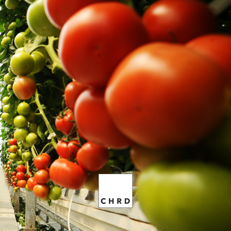 Tomato Guard, Produs natural pentru biocontrolul lepidopterelor (fluturi si molii, inclusiv Tuta Absoluta), 150 g [3]