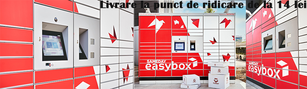 Livrare la Punct de ridicare