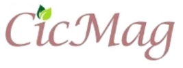www.cicmag.ro