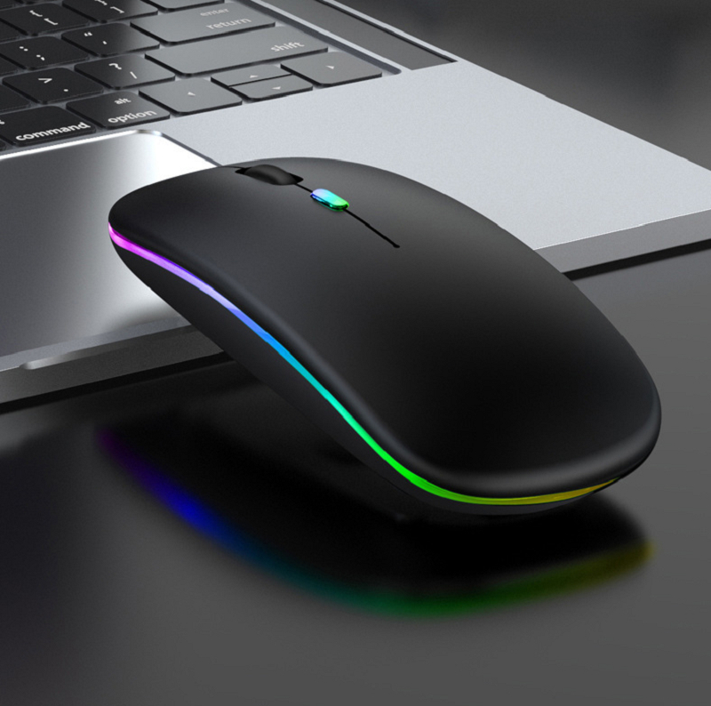 Mouse Wireless Reincarcabil, Iluminare RGB, Bluetooth 5.1 si 2.4GHZ, Reglabil 800/1200/1600DPI, Silentios, Ergonomic, Negru [2]
