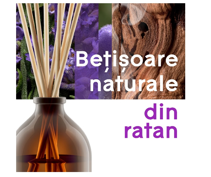 Betisoare Parfumate Glade Aromatherapy Moment of Zen, 80ml [2]
