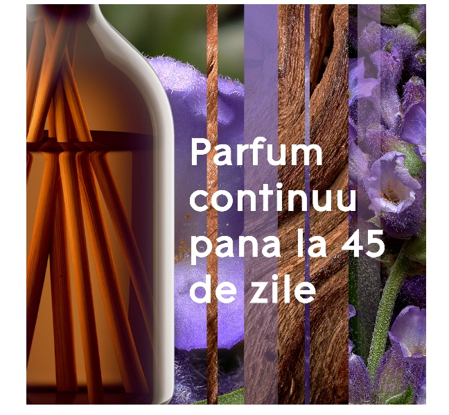 Betisoare Parfumate Glade Aromatherapy Moment of Zen, 80ml [3]