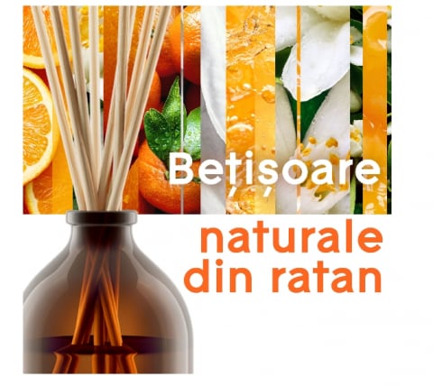 Betisoare Parfumate Glade Aromatherapy Pure Happiness, 80ml [1]