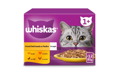 Hrana pentru pisici - Hrana umeda pentru pisici Whiskas, cu carne de pasare in aspic, 12 x 85 g