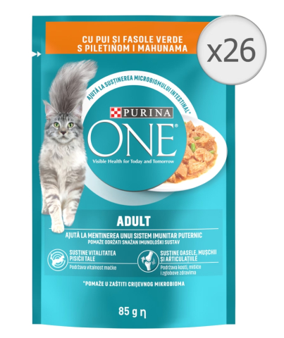 Hrana pentru pisici - Hrana umeda pentru pisici Purina One Adult, Mini Fileuri cu Pui & Fasole Verde, In Sos, 26 x 85 g