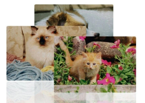 Puzzle personalizat - A4 [1]