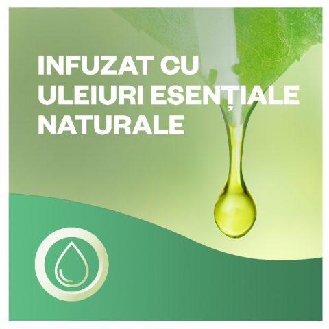 Odorizant de camera cu betisoare parfumate Air Wick, Roua diminetii si mure, 40ml [3]