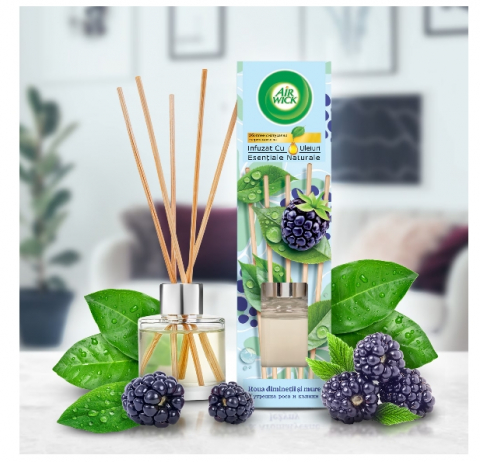 Odorizant de camera cu betisoare parfumate Air Wick, Roua diminetii si mure, 40ml [1]