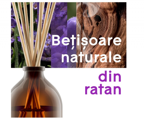 Betisoare Parfumate Glade Aromatherapy Moment of Zen, 80ml [1]