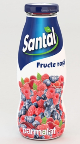 SANTAL Suc de Fructe Rosii 30% SGR 12 x 0,2 L