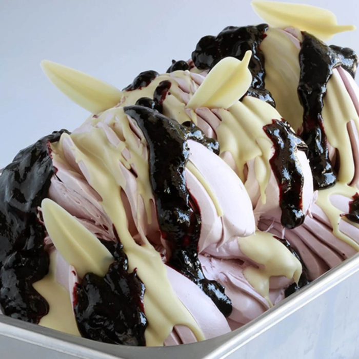 Crema de Afine Joyfruit Mirtillo Joygelato - 3.5Kg [2]