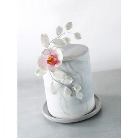 Colorant Alimentar Pudra Liposolubil Argintiu Perlat Modecor - 25g [1]