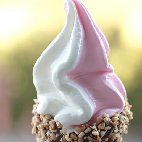 Mixuri Pudra Inghetata - Mix Inghetata Soft Baza Joysoft Capsuni Joygelato - 1Kg