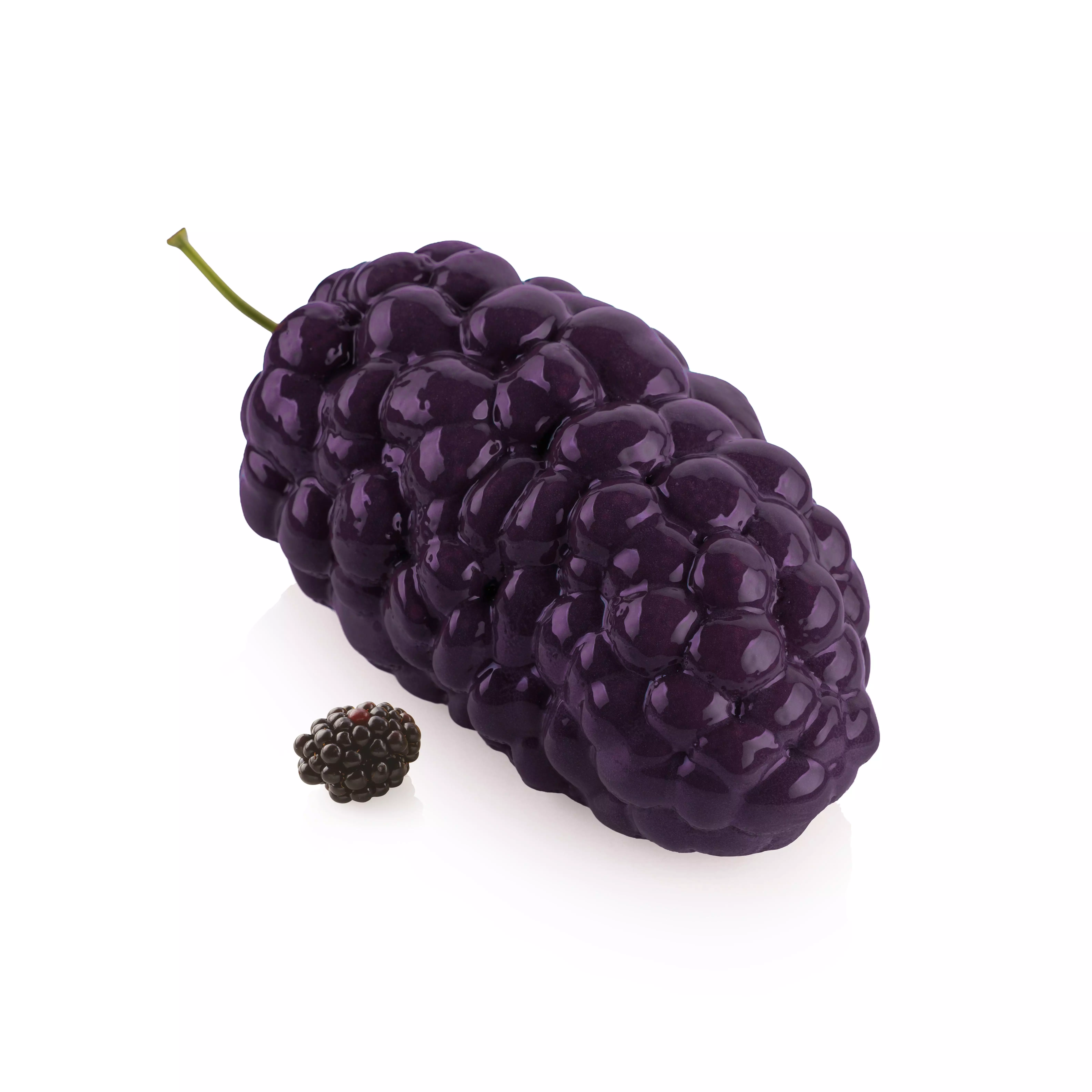 Forme Silicon Fructe - Forma Silicon Duda 1 Cavitate, 17.5 x 9.5 x H8cm, 700ml, Silikomart