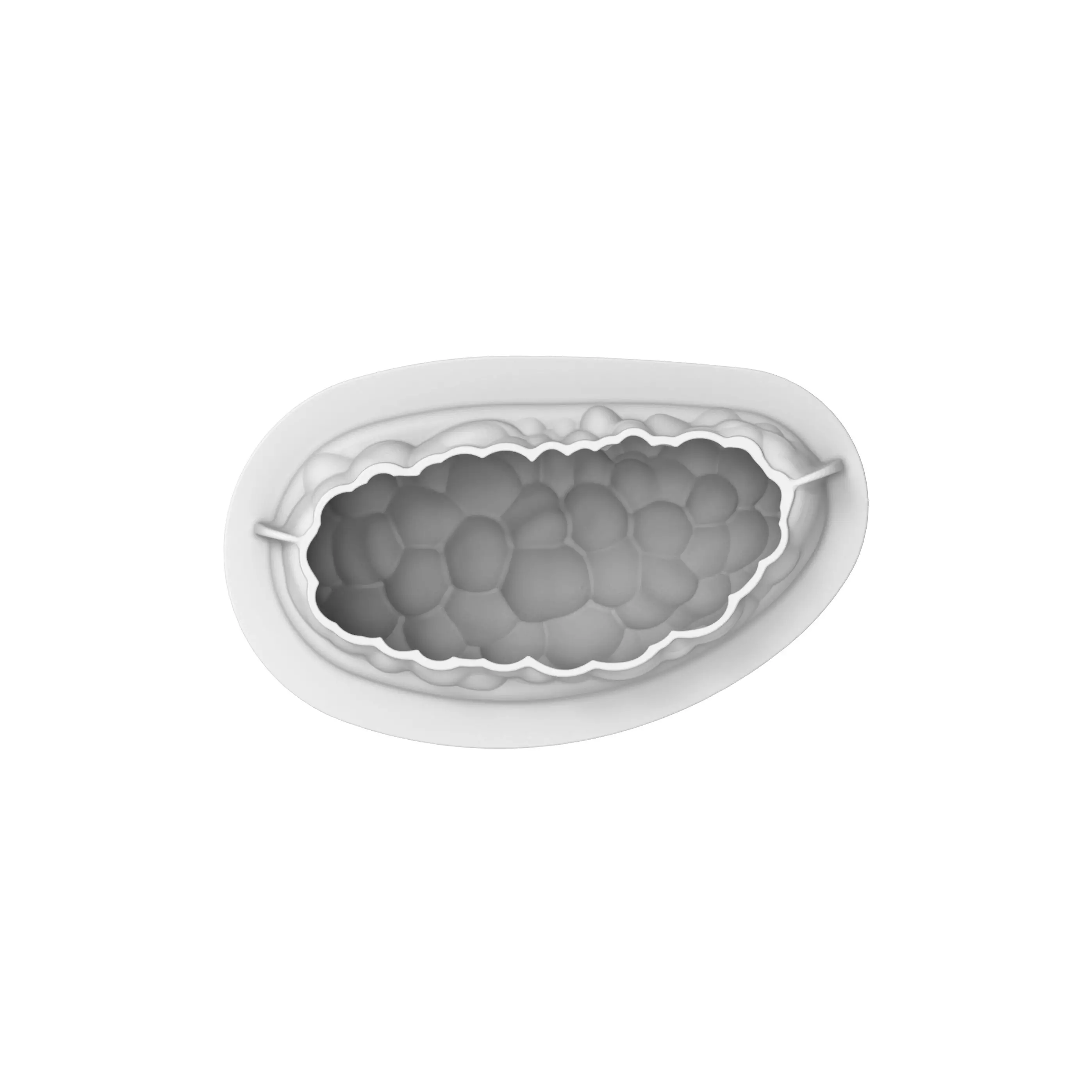 Forma Silicon Duda 1 Cavitate, 17.5 x 9.5 x H8cm, 700ml, Silikomart [2]