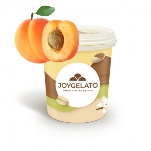Pasta de Fructe - Pasta de Caise Aromatizanta Joypaste Albicocca Joygelato - 1.2Kg