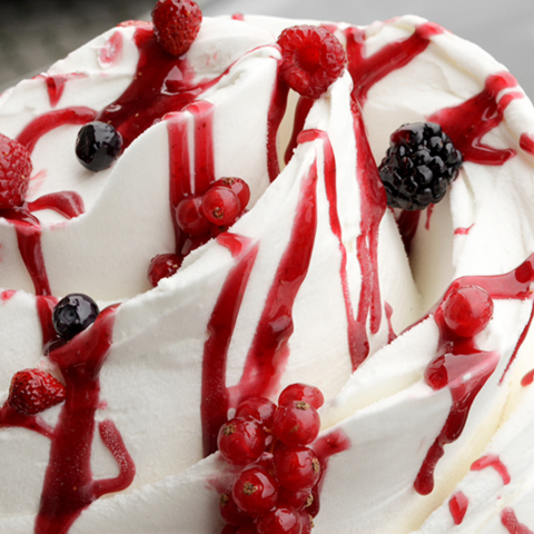 Topping Fructe de Padure Joytopping Joygelato - 1Kg [1]