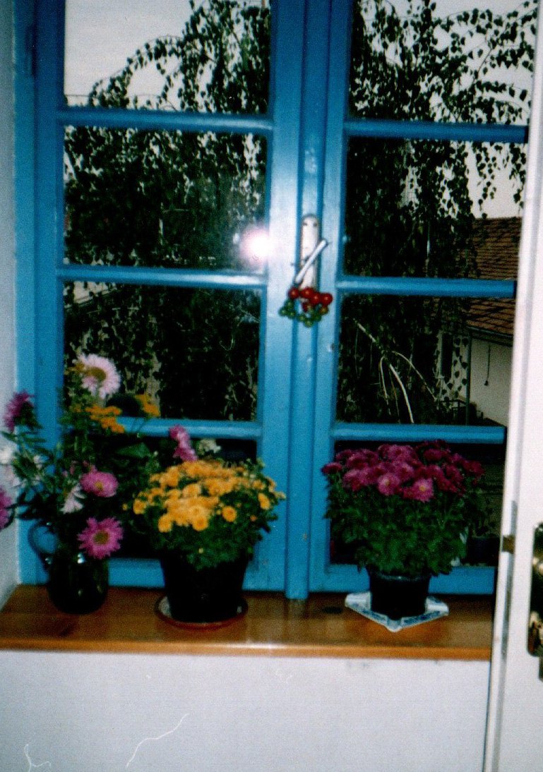 Fereastra clădirii fabricii Cioata