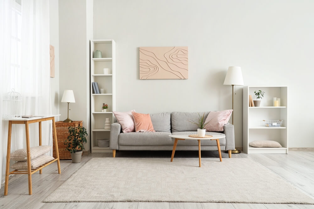 living, canapea, etajere, covor, tablouri, planta, lampa