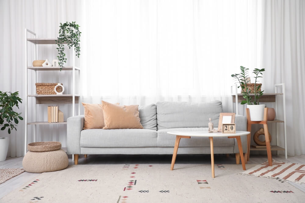 living, canapea, etajere, covor, planta, decoratiuni