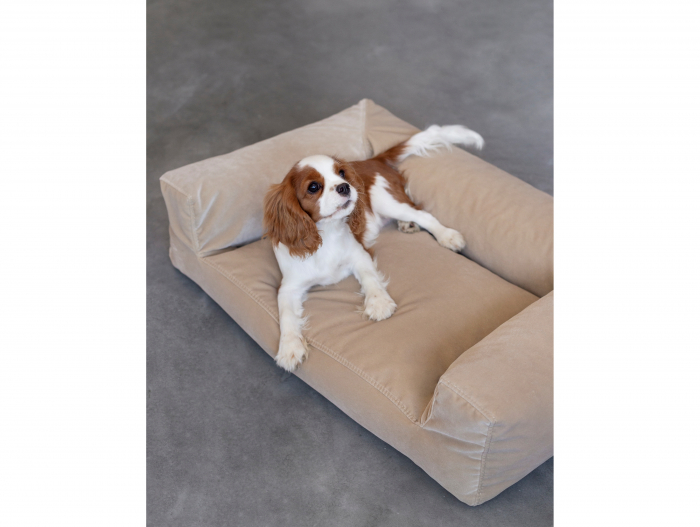 Pat pentru animale de companie Bichon, dimensiuni variate, tapitat, personalizabil, spume moi si stofe durabile [7]