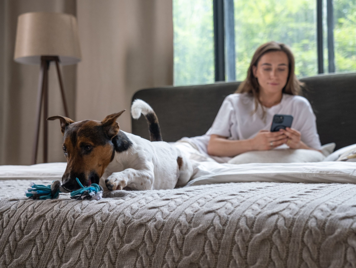 Pat tapitat Elim 2 cu tablie inalta capitonata, lada depozitare, somiera metalica, picioare plastic 3cm, laterale dehusabile, stil modern, personalizabil [14]