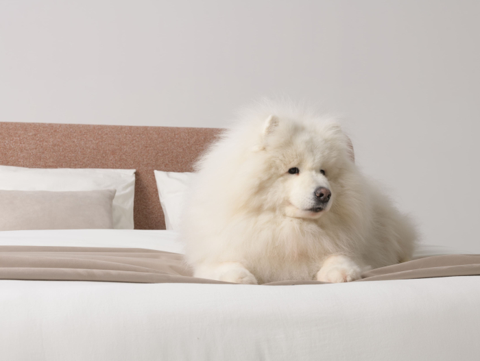 Pat tapitat Nola 2 cu tablie inalta capitonata, lada depozitare, somiera metalica, picioare plastic 3cm, laterale dehusabile, stil modern, personalizabil [21]