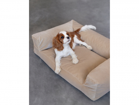 Pat pentru animale de companie Bichon, dimensiuni variate, tapitat, personalizabil, spume moi si stofe durabile [6]