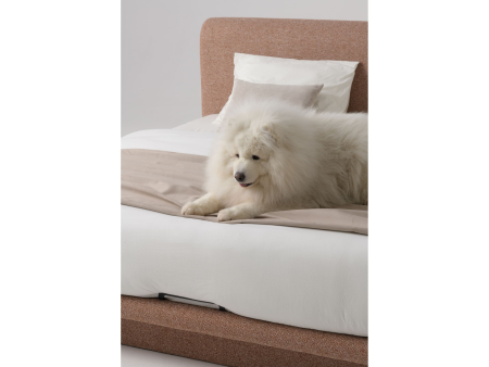 Pat tapitat Nola 2 cu tablie inalta capitonata, lada depozitare, somiera metalica, picioare plastic 3cm, laterale dehusabile, stil modern, personalizabil [15]