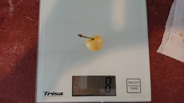 Cires Pietroase Donissen balot/ghiveci [3]