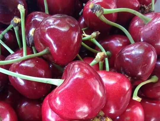 Cires Valeriu Cikalov [4]