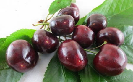 Cires Lucia balot/ghiveci [1]