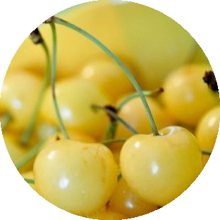 Cires amar Imperial Alb [0]