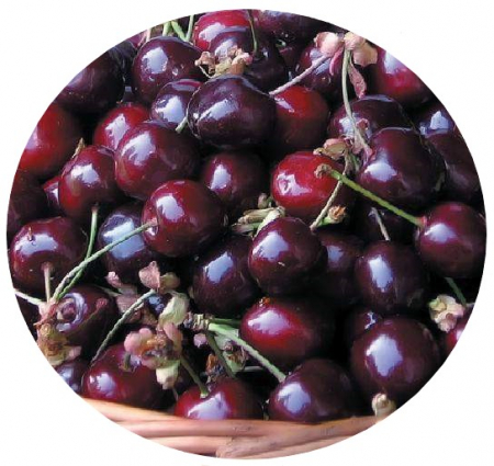 Ciresi - Cires Timpurii de Bistrita