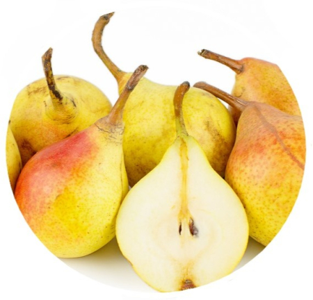 Pomi fructiferi - Par Prasade Moldovenesti
